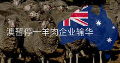 2021年7月20日​再暂停澳一羊肉企业输华
