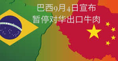巴西9月4日宣布暂停对华出口